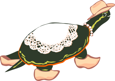 QIT Turtle